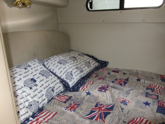 Chaparral SIGNATURE 290 usata in vendita