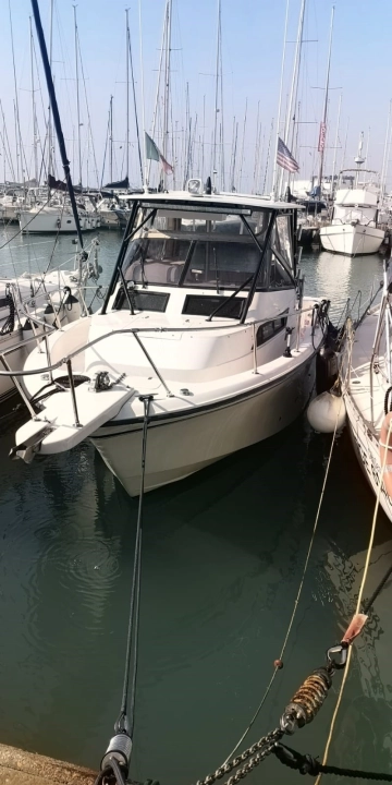 Grady White 300 Marlin WA usata in vendita