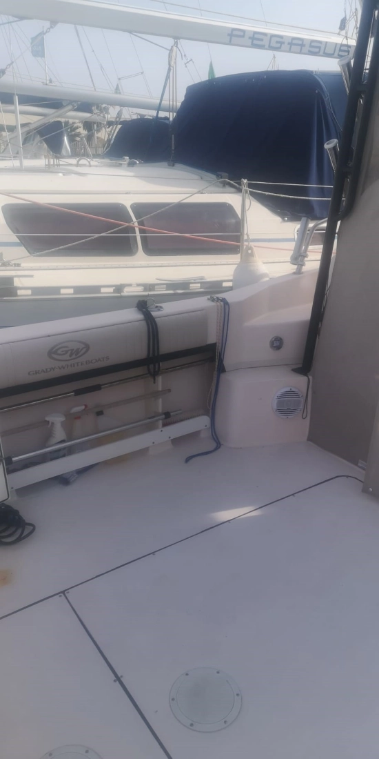 Grady White 300 Marlin WA usata in vendita