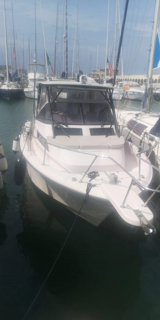Grady White 300 Marlin WA usata in vendita