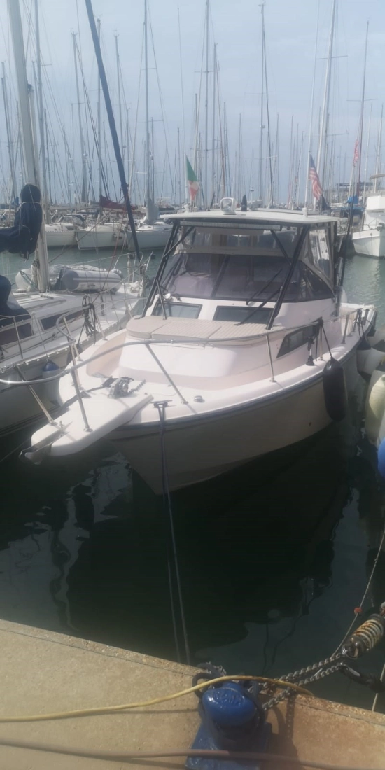 Grady White 300 Marlin WA usata in vendita