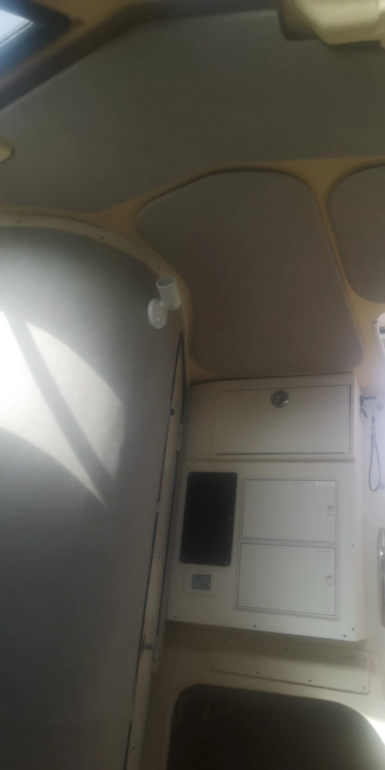 Grady White 300 Marlin WA usata in vendita