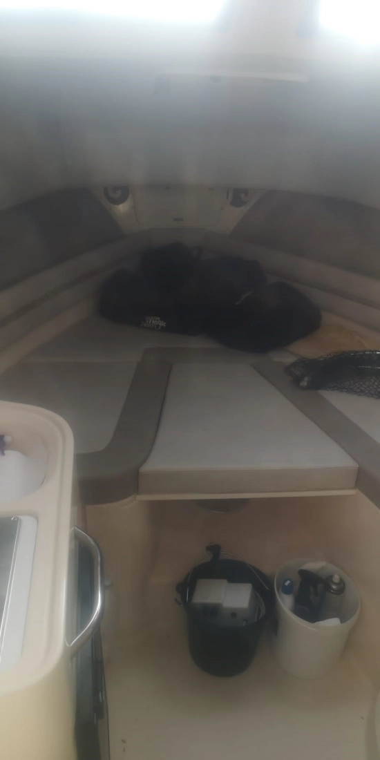 Grady White 300 Marlin WA usata in vendita