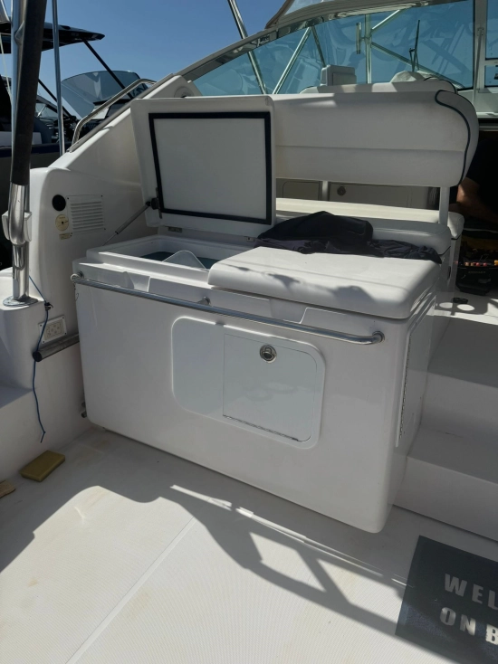 Bertram 360 Moppie usata in vendita