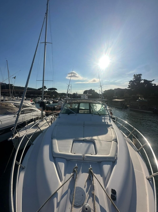 Bertram 360 Moppie usata in vendita