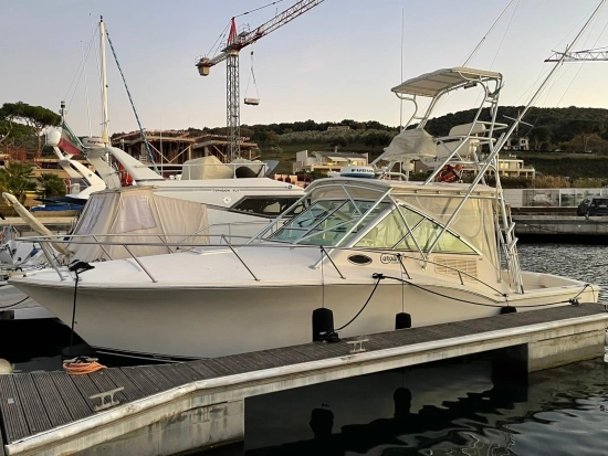 Albemarle 32 CLASSIC EXPRESS usata in vendita
