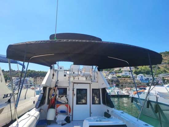 Phoenix 29 SF CONVERTIBLE usata in vendita