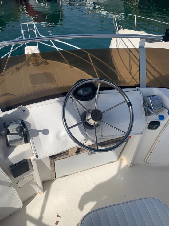 Phoenix 29 SF CONVERTIBLE usata in vendita