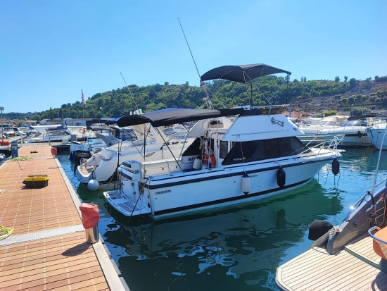 Phoenix 29 SF CONVERTIBLE usata in vendita