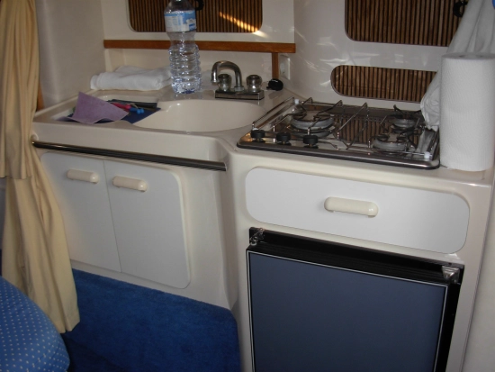 Sea Ray 290 DA de segunda mano en venta