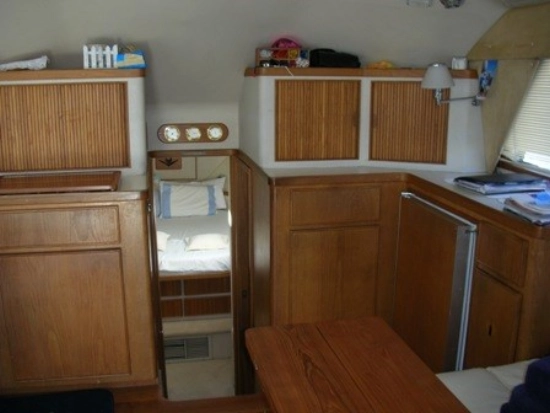 Bertram 37 Convertible usata in vendita