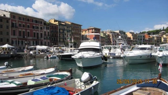 Bertram 37 Convertible usata in vendita