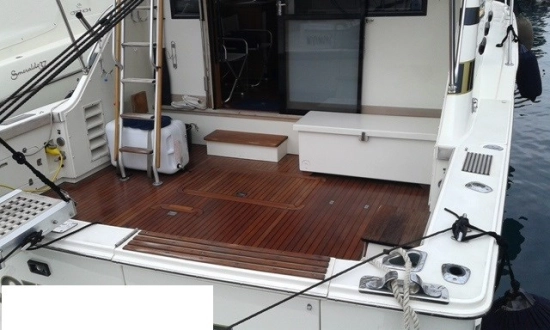 Bertram 37 Convertible usata in vendita