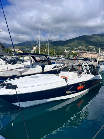 Wellcraft SCARAB 35 SPORT CUDDY de segunda mano en venta