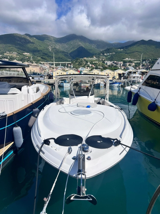Wellcraft SCARAB 35 SPORT CUDDY de segunda mano en venta