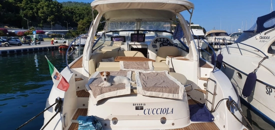 Bavaria Yachts 34 Sport de segunda mano en venta