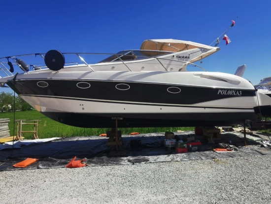 Gobbi 335 SC de segunda mano en venta