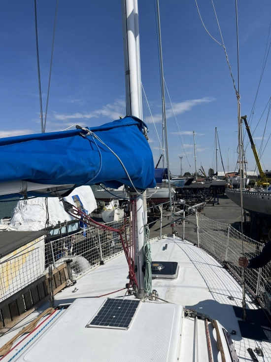 Mako Sailer New Ranger usado à venda