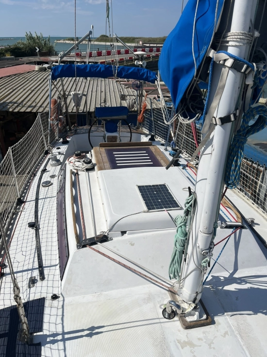 Mako Sailer New Ranger usado à venda