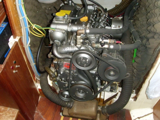 Merani ALISEO de segunda mano en venta