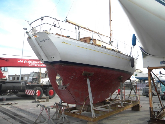 Merani ALISEO de segunda mano en venta