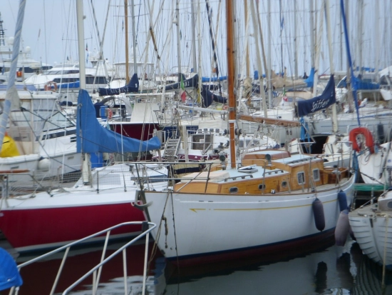 Merani ALISEO de segunda mano en venta