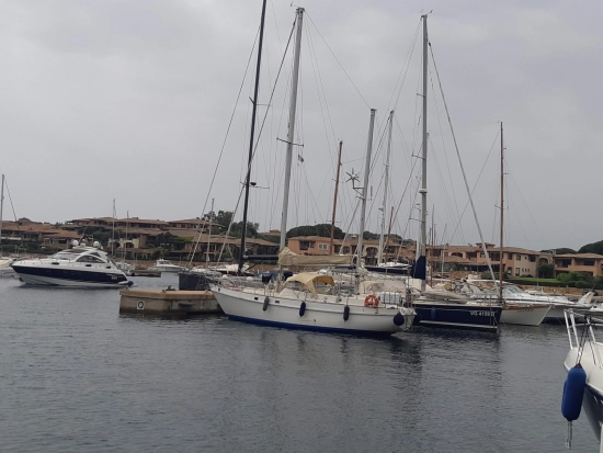 Alpa Canteri 38 usado à venda