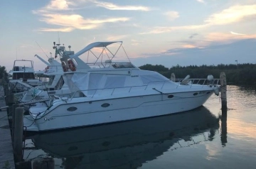 Gobbi 50 FLY usata in vendita