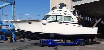 Bertram 38 Sport fish MK 3 de segunda mano en venta