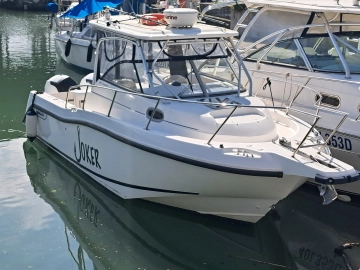 Boston Whaler 255 Conquest usado à venda