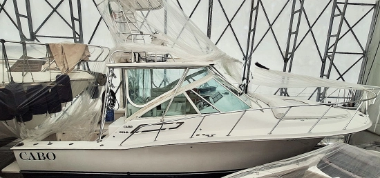 Cabo Yachts 32 Express Tuna Tower usata in vendita