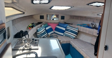 Sea Ray Sundancer 220 de segunda mano en venta