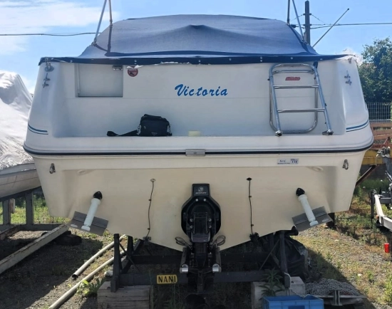 Sea Ray Sundancer 220 de segunda mano en venta