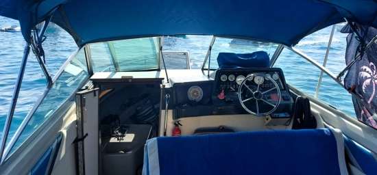 Sea Ray Sundancer 220 de segunda mano en venta