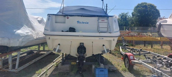 Sea Ray Sundancer 220 de segunda mano en venta