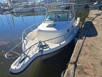 Pursuit 2870 Walkaround de segunda mano en venta