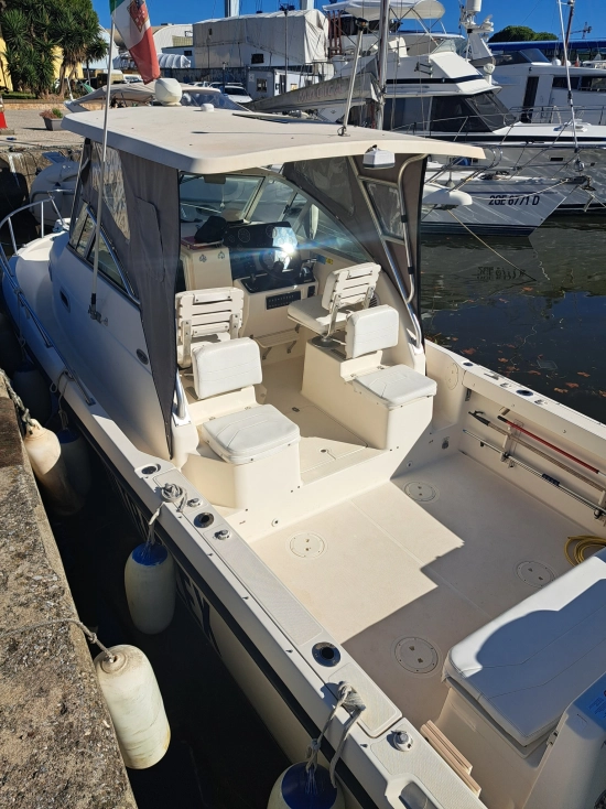 Pursuit 2870 Walkaround de segunda mano en venta