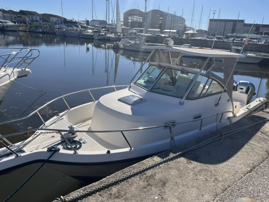 Pursuit 2870 Walkaround de segunda mano en venta