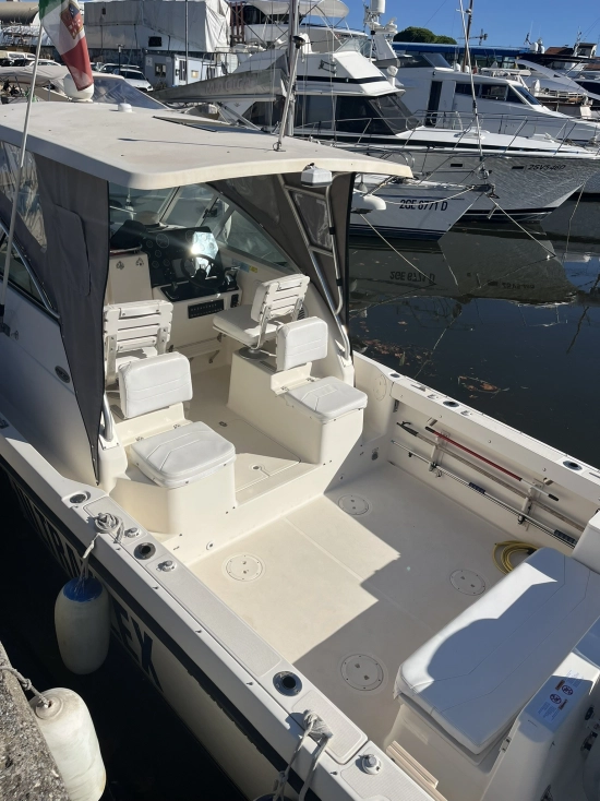 Pursuit 2870 Walkaround de segunda mano en venta