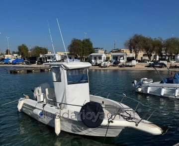 Sea Ray LAGUNA 17 usado à venda