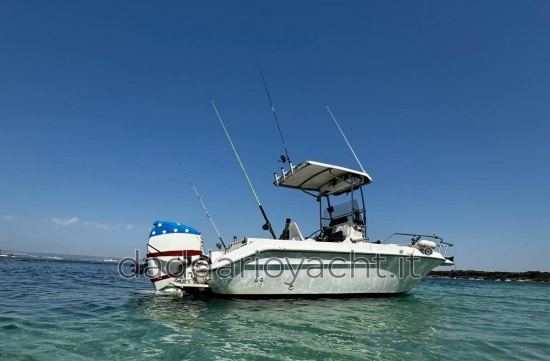 Sea Ray LAGUNA 17 usado à venda