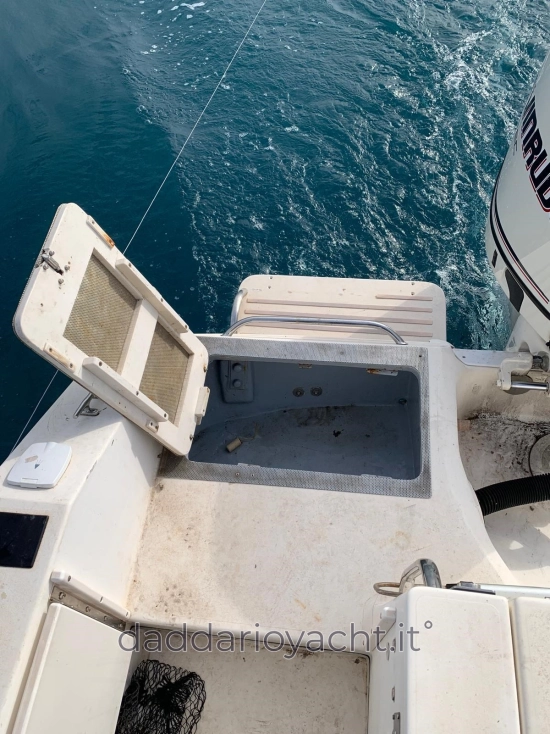 Sea Ray LAGUNA 17 usado à venda