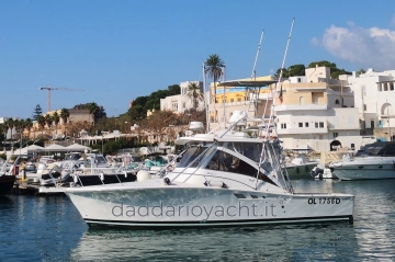 Luhrs 320 FISHERMAN de segunda mano en venta