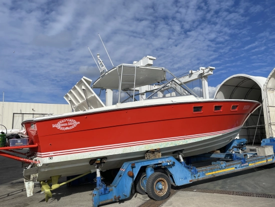 MAGNUM MARINE 35 HT usado à venda