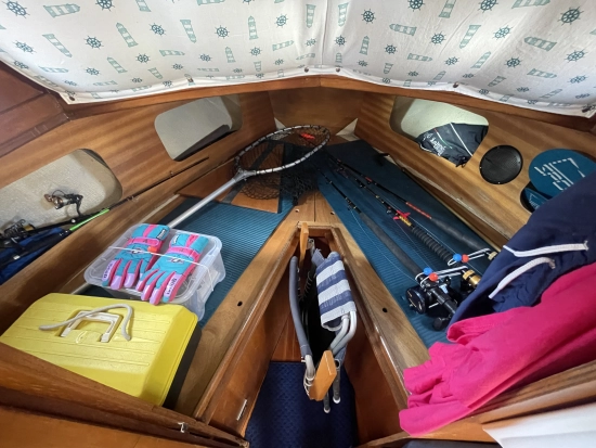 BANI 8.80 CABIN de segunda mano en venta