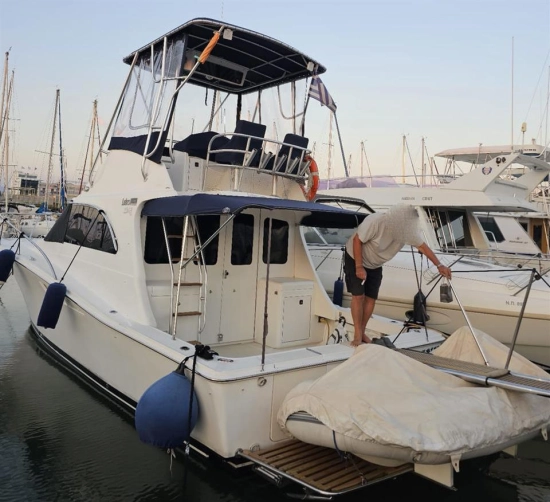 Luhrs 32 usado à venda