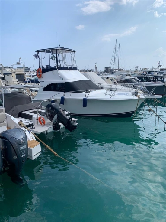 Luhrs 32 usado à venda