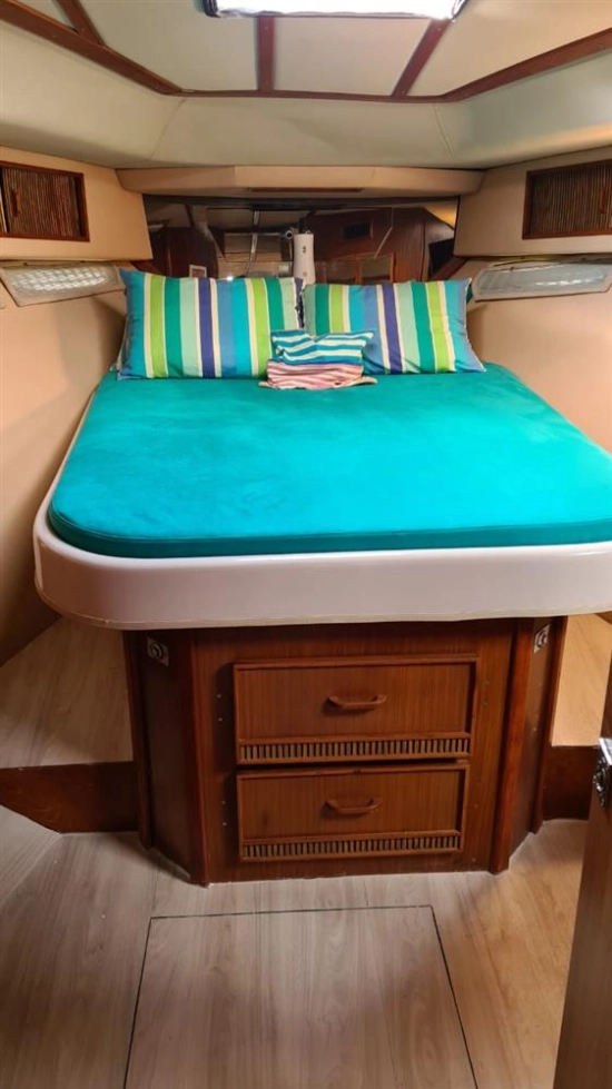 Sea Ray 390 Express Cruiser de segunda mano en venta