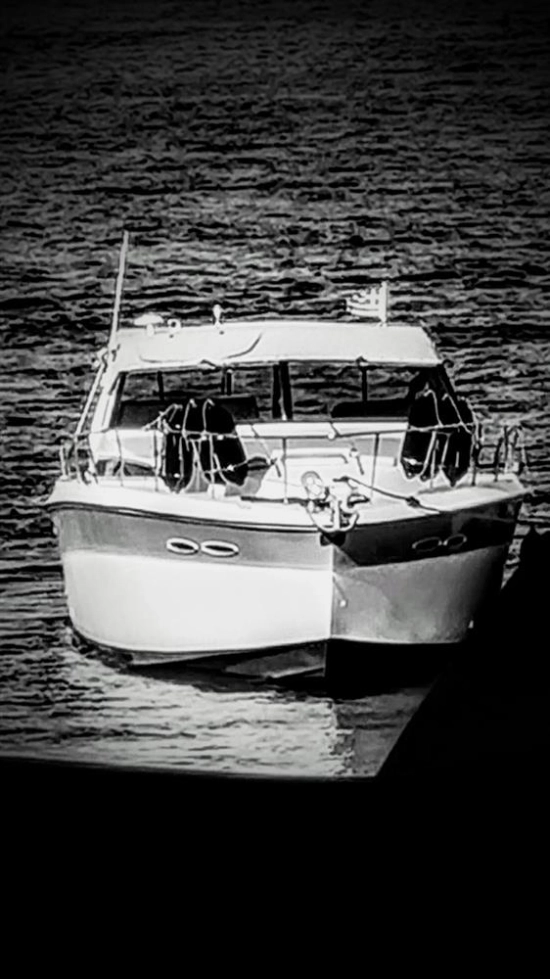 Sea Ray 390 Express Cruiser de segunda mano en venta