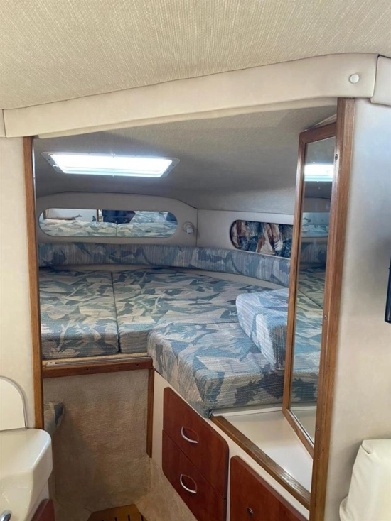 Sea Ray Sundancer 290 1996 de segunda mano en venta